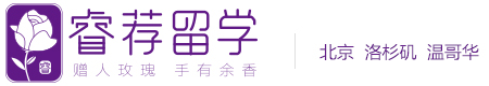 睿荐咨询